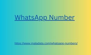 WhatsApp Number