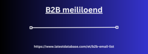 B2B meililoend