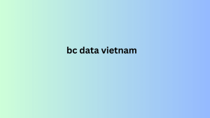 bc data vietnam