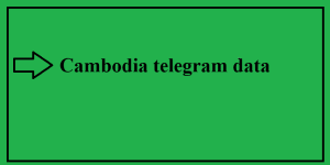 Cambodia telegram data 