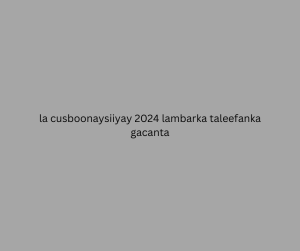 la cusboonaysiiyay 2024 lambarka taleefanka gacanta