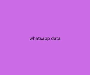 whatsapp data